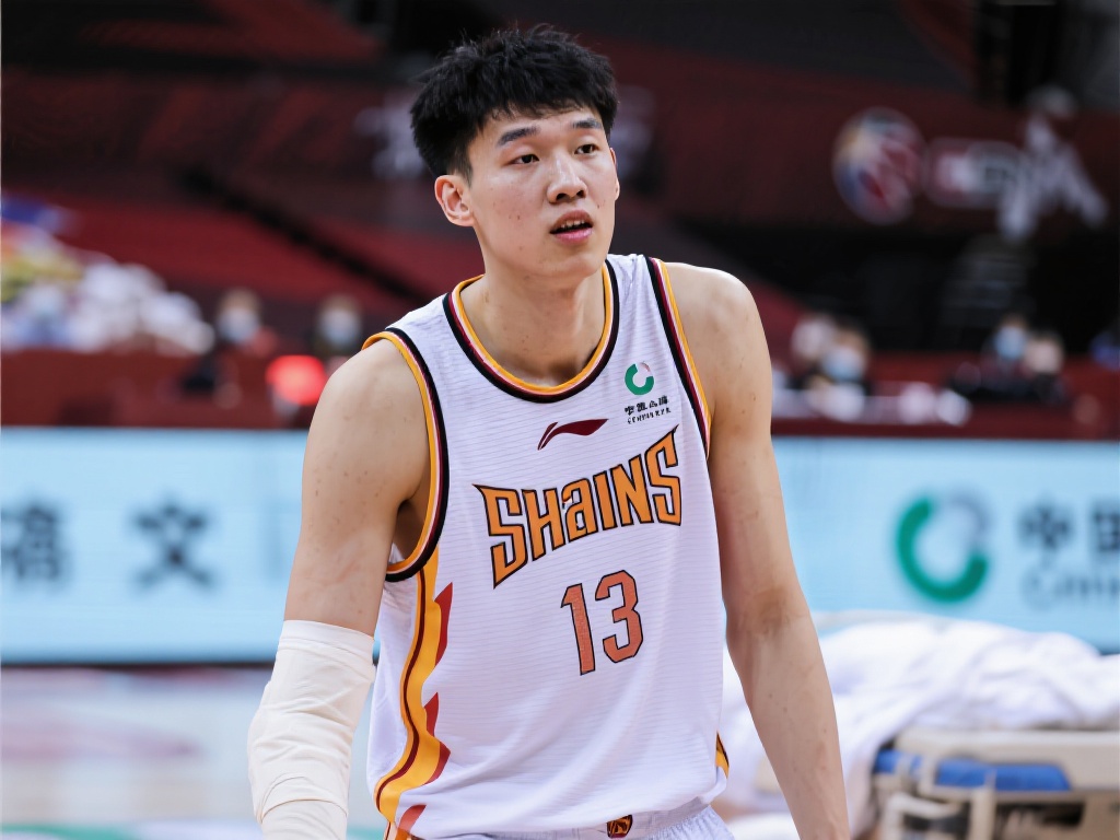 专家的评论 专家的评论